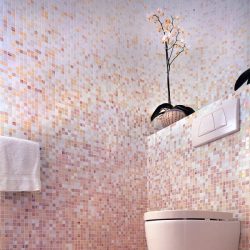 Projeto do banheiro em uma casa de madeira (mais de 200 fotos): decoração DIY (teto, piso, paredes)