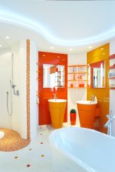 Projeto do banheiro em uma casa de madeira (mais de 200 fotos): decoração DIY (teto, piso, paredes)