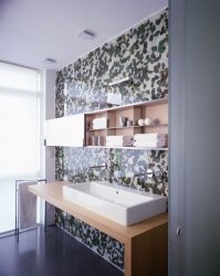 Projeto do banheiro em uma casa de madeira (mais de 200 fotos): decoração DIY (teto, piso, paredes)