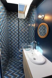 Projeto do banheiro em uma casa de madeira (mais de 200 fotos): decoração DIY (teto, piso, paredes)