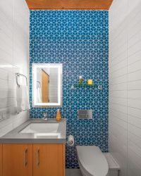 Projeto do banheiro em uma casa de madeira (mais de 200 fotos): decoração DIY (teto, piso, paredes)