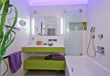 Projeto do banheiro em uma casa de madeira (mais de 200 fotos): decoração DIY (teto, piso, paredes)