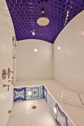 Projeto do banheiro em uma casa de madeira (mais de 200 fotos): decoração DIY (teto, piso, paredes)