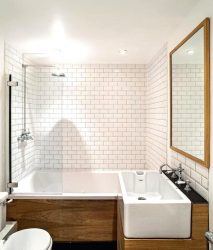 Projeto do banheiro em uma casa de madeira (mais de 200 fotos): decoração DIY (teto, piso, paredes)