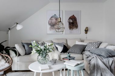 Básico Estilos modernos no design da sala de estar: 180+ Fotos de combinações de cores no interior