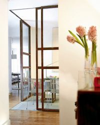 Portas com inserções de vidro: 180+ (foto) opções de plástico, madeira e alumínio (entrada, interior, cupê)