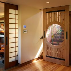 Portas com inserções de vidro: 180+ (foto) opções de plástico, madeira e alumínio (entrada, interior, cupê)