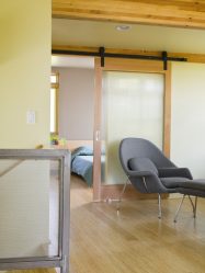 Portas com inserções de vidro: 180+ (foto) opções de plástico, madeira e alumínio (entrada, interior, cupê)