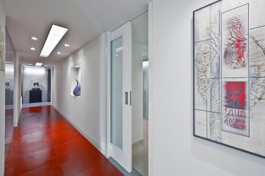 Portas com inserções de vidro: 180+ (foto) opções de plástico, madeira e alumínio (entrada, interior, cupê)