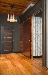 Portas com inserções de vidro: 180+ (foto) opções de plástico, madeira e alumínio (entrada, interior, cupê)