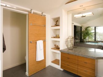 Portas com inserções de vidro: 180+ (foto) opções de plástico, madeira e alumínio (entrada, interior, cupê)
