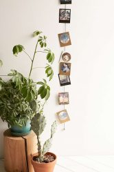 Como pendurar fotos na parede é lindo e original (mais de 170 fotos)? Idéias criativas para acentos brilhantes