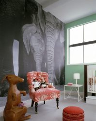 Foto papel de parede na parede na sala de estar, quarto, cozinha e criança: 205 + Foto interiores atraentes