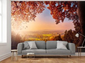 Foto papel de parede na parede na sala de estar, quarto, cozinha e criança: 205 + Foto interiores atraentes