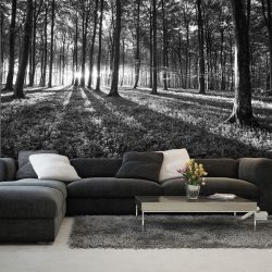 Foto papel de parede na parede na sala de estar, quarto, cozinha e criança: 205 + Foto interiores atraentes