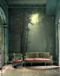 Foto papel de parede na parede na sala de estar, quarto, cozinha e criança: 205 + Foto interiores atraentes