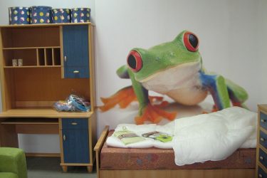 Foto papel de parede na parede na sala de estar, quarto, cozinha e criança: 205 + Foto interiores atraentes