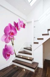 Foto papel de parede na parede na sala de estar, quarto, cozinha e criança: 205 + Foto interiores atraentes