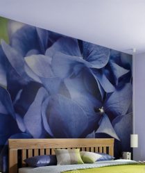Foto papel de parede no interior do quarto: 205+ (Foto) Belas ideias para criar conforto