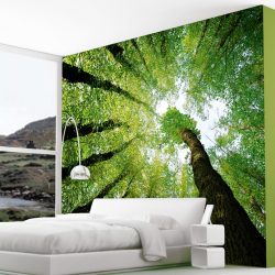 Foto papel de parede no interior do quarto: 205+ (Foto) Belas ideias para criar conforto