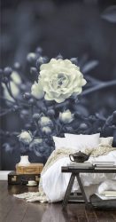 Foto papel de parede no interior do quarto: 205+ (Foto) Belas ideias para criar conforto