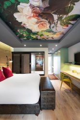 Foto papel de parede no interior do quarto: 205+ (Foto) Belas ideias para criar conforto