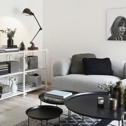 O design da sala de estar na cor da neve branca - criando obras-primas de elite 135+ Fotos de soluções de estilo real no interior