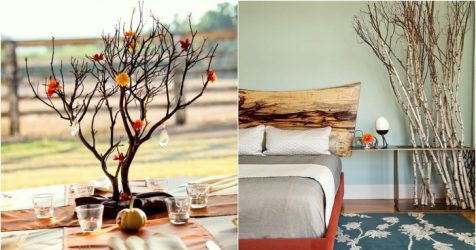 Idéias para a decoração Home do-it-yourself: 125+ (foto) design exclusivo