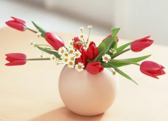 Flores artificiais para interiores de casa: Beleza por muitos anos (bouquets, composições, ekibany)