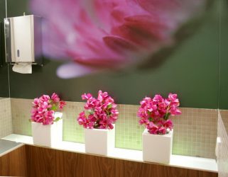 Flores artificiais para interiores de casa: Beleza por muitos anos (bouquets, composições, ekibany)
