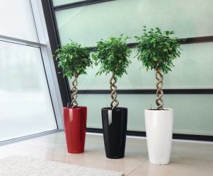 Flores artificiais para interiores de casa: Beleza por muitos anos (bouquets, composições, ekibany)