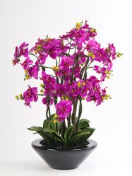 Flores artificiais para interiores de casa: Beleza por muitos anos (bouquets, composições, ekibany)