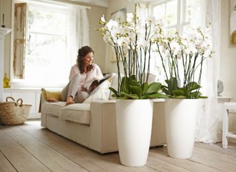 Flores artificiais para interiores de casa: Beleza por muitos anos (bouquets, composições, ekibany)