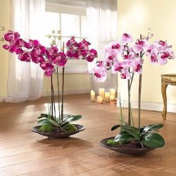Flores artificiais para interiores de casa: Beleza por muitos anos (bouquets, composições, ekibany)