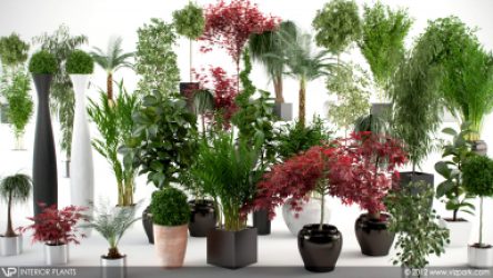 Flores artificiais para interiores de casa: Beleza por muitos anos (bouquets, composições, ekibany)
