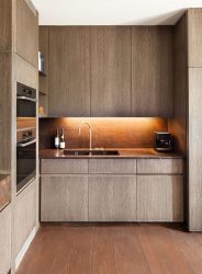 Brown cozinha em um interior (120 + Foto) - combinações de sucesso para idéias inteligentes