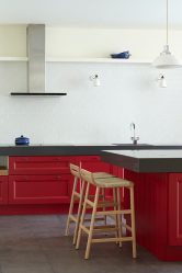 A magia da cor que afeta nossa percepção do interior: Design de uma cozinha vermelha em cores brilhantes (mais de 115 fotos)
