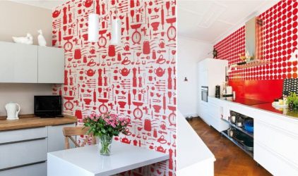 A magia da cor que afeta nossa percepção do interior: Design de uma cozinha vermelha em cores brilhantes (mais de 115 fotos)
