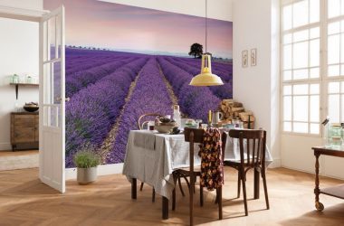 การออกแบบห้องครัวที่สวยงามในสไตล์โปรวองซ์: 240+ ภาพถ่ายของการออกแบบที่ทันสมัย ​​(ผนัง, เพดาน, ผ้าม่าน)