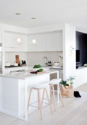 Gastronomia com caráter: design de interiores em estilo escandinavo (mais de 190 fotos)