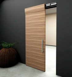 Portas interiores no interior do apartamento (305+ fotos): opções elegantes e modernas