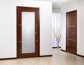 Portas interiores no interior do apartamento (305+ fotos): opções elegantes e modernas