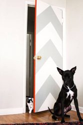 Portas interiores no interior do apartamento (305+ fotos): opções elegantes e modernas