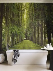 Qual é o melhor papel de parede para colar o banheiro? Líquido, vinil, lavagem, umidade resistente - escolha o mais prático (115+ fotos)