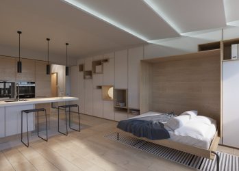 230+ صور الأفكار الداخلية شقق 1 (غرفة واحدة) من 40 متر مربع. تصميم عصري بسيط وأنيق