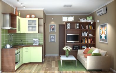230+ صور الأفكار الداخلية شقق 1 (غرفة واحدة) من 40 متر مربع. تصميم عصري بسيط وأنيق