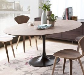 Mesa oval na cozinha - Versão universal para qualquer interior (mais de 210 fotos de modelos deslizantes, de vidro e de madeira)