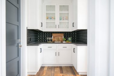 Painéis de PVC para paredes: 235+ (foto) para o seu interior (para cozinha, banheiro, corredor)