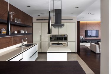 Painéis de PVC para paredes: 235+ (foto) para o seu interior (para cozinha, banheiro, corredor)