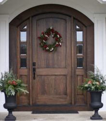 Portas de entrada de plástico em uma casa privada (145 + Foto): Como fazer e de forma segura e bonita?